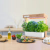 Indoor Plant Hydroponics Grow Light Garden