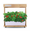 Indoor Plant Hydroponics Grow Light Garden - Image 2