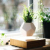 LYFE Planter
